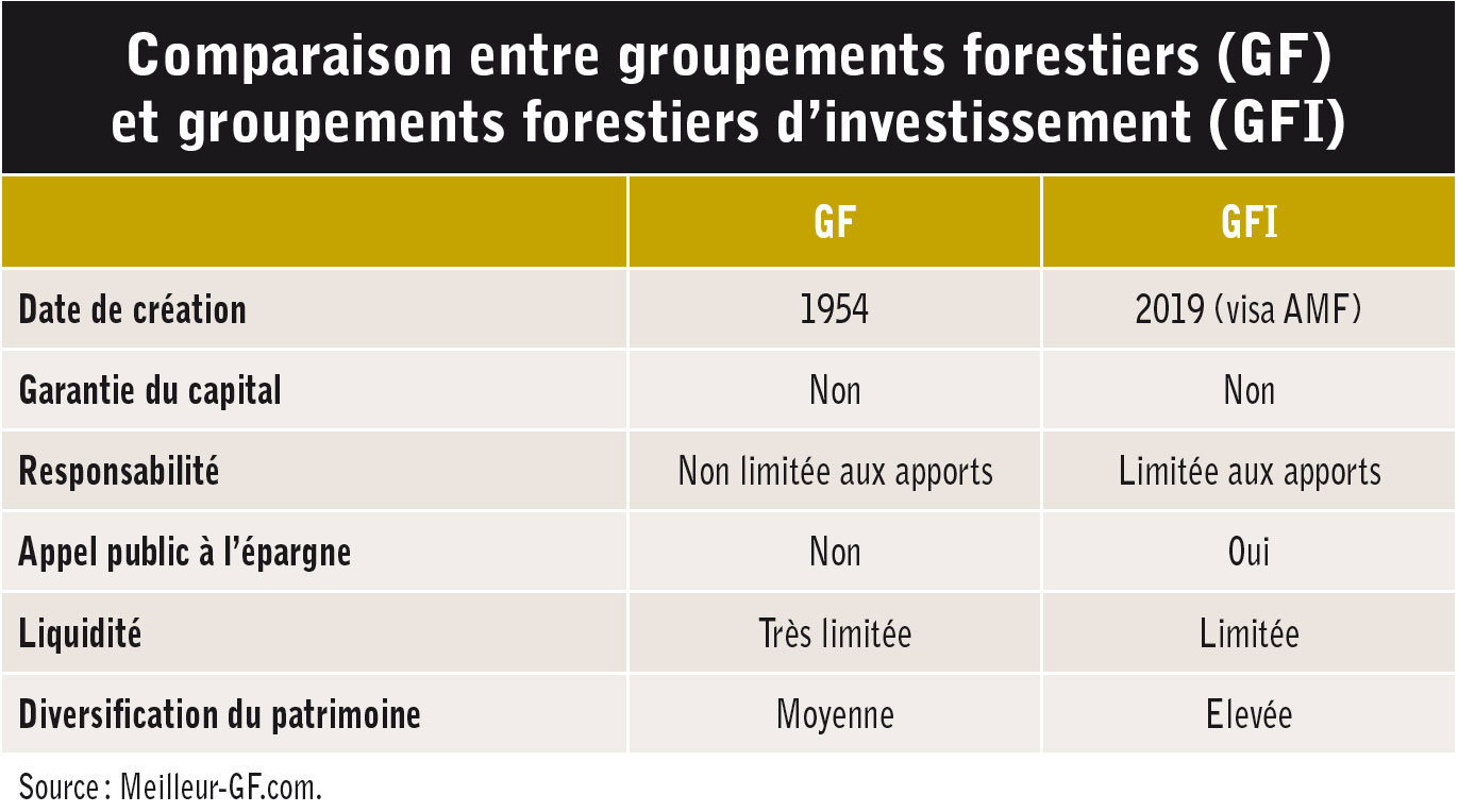 Comment investir dans la forêt 03