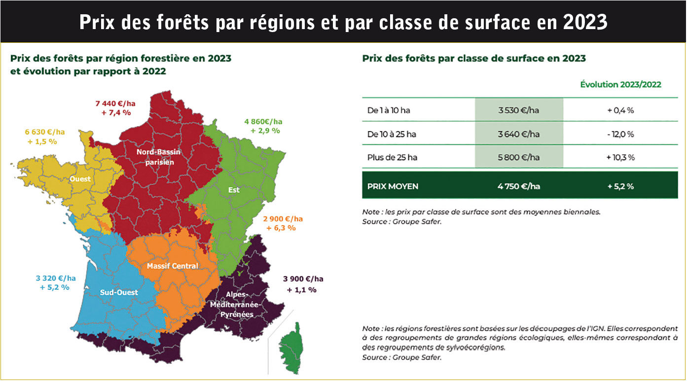 Comment investir dans la forêt 04