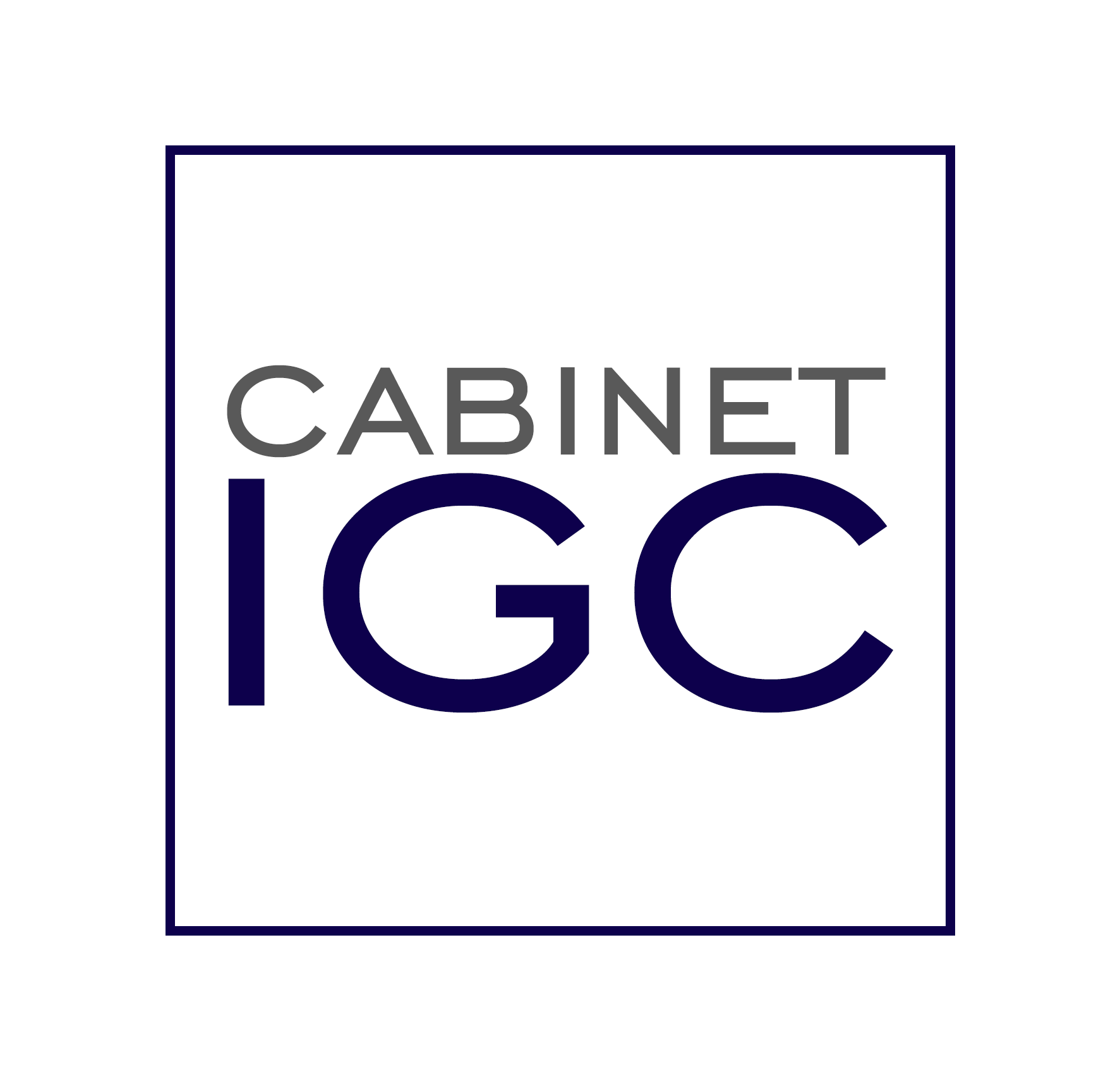 IGC logo fond blanc